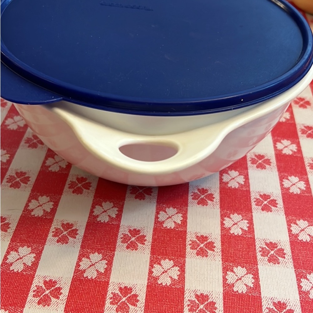 Tupperware that’s a bowl jr